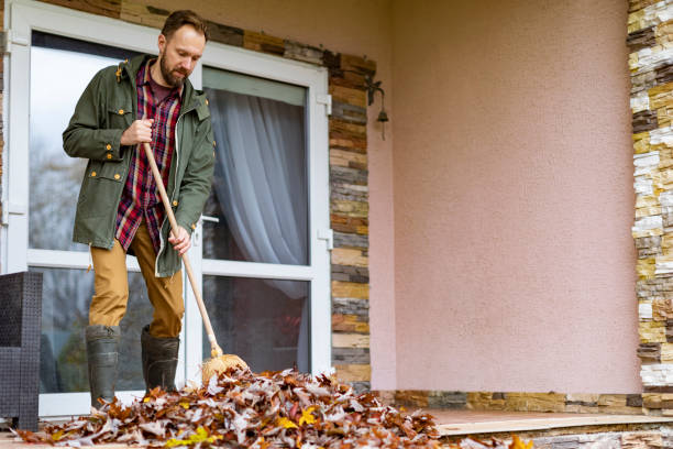 Yard Cleanup Services in Carolina Forest, SC